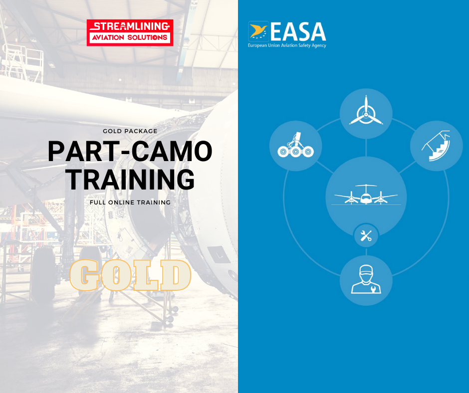 part-camo training